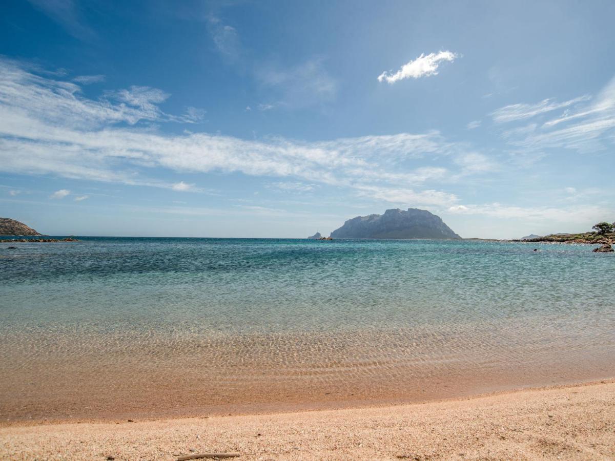 Holiday Home Flamingo By Interhome Costa Corallina Exteriör bild